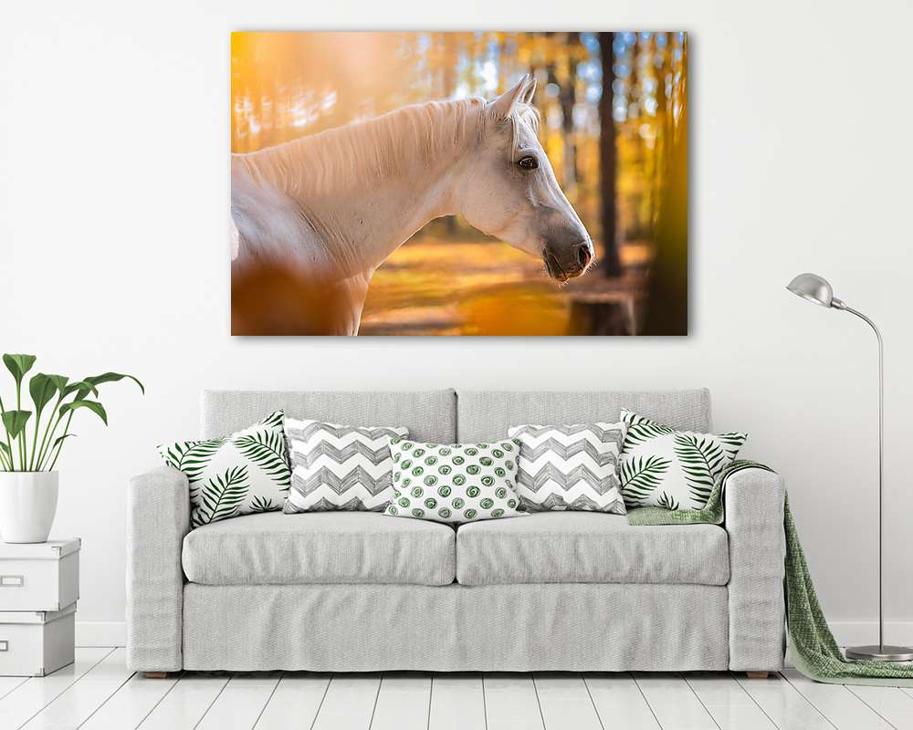 Őszi lovas portré  (bögre) - vászonkép, falikép otthonra és irodába