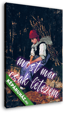 Most már csak létezem (Rőzsehordó nő alapján) - vászonkép 3D látványterv Most már csak létezem (Rőzsehordó nő alapján) - vászonkép 3D látványterv