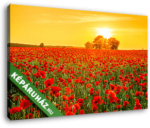 Nyári naplemente a pipacsmező felett - vászonkép 3D látványterv Nyári naplemente a pipacsmező felett - vászonkép 3D látványterv
