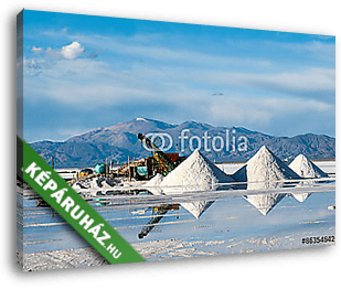 Salinas Grandes on Argentina Andes is a salt desert in the Jujuy - vászonkép 3D látványterv