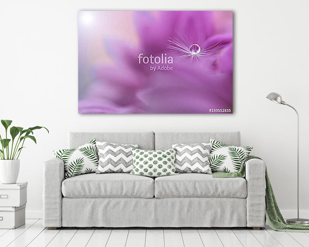 Dandelion seed with a water drop on a pink flower. Macro of a da - vászonkép, falikép vásárlás Dandelion seed with a water drop on a pink flower. Macro of a da (vászonkép) - vászonkép, falikép otthonra és irodába