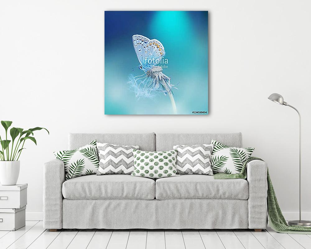 Beautiful tender delicate butterfly on a clean blue background c - vászonkép, falikép vásárlás Beautiful tender delicate butterfly on a clean blue background c (vászonkép) - vászonkép, falikép otthonra és irodába