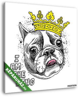 Image Portrait of French bulldog in a yellow crown. Vector illus - vászonkép 3D látványterv