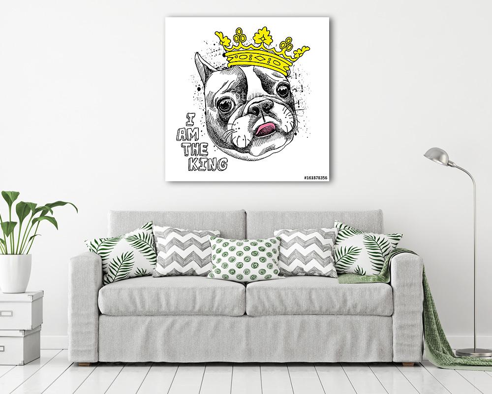 Image Portrait of French bulldog in a yellow crown. Vector illus - vászonkép, falikép vásárlás Image Portrait of French bulldog in a yellow crown. Vector illus (vászonkép) - vászonkép, falikép otthonra és irodába