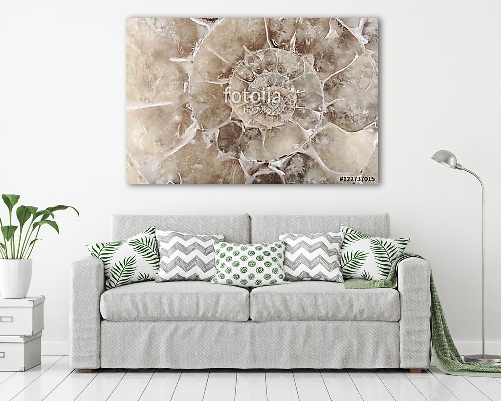 grey ammonite spiral closeup - vászonkép, falikép vásárlás grey ammonite spiral closeup (keretezett kép) - vászonkép, falikép otthonra és irodába