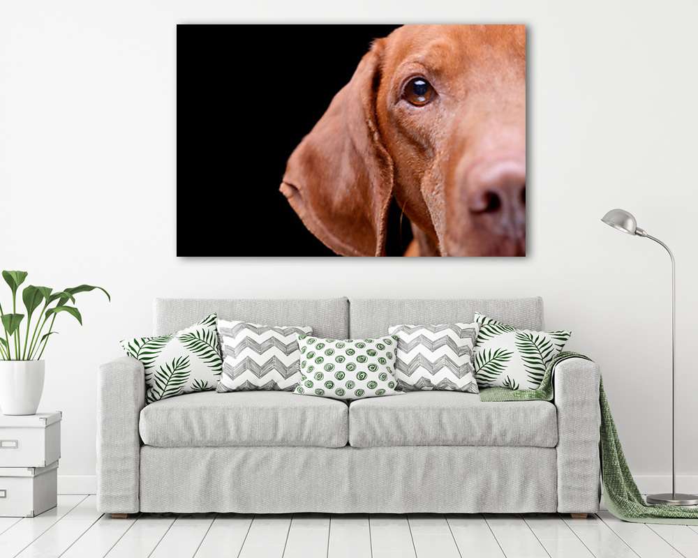 Vizsla félportré (vászonkép) - vászonkép, falikép otthonra és irodába