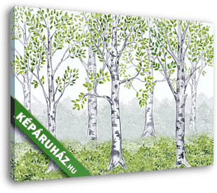 Nyírfák, nyírfa erdő háttér - vászonkép 3D látványterv