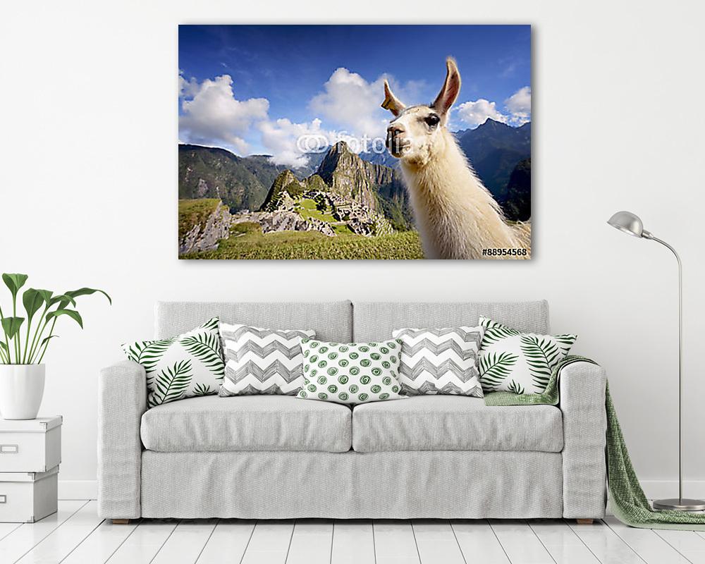 Llama a Machu Picchu-ban, Peru (vászonkép) - vászonkép, falikép otthonra és irodába