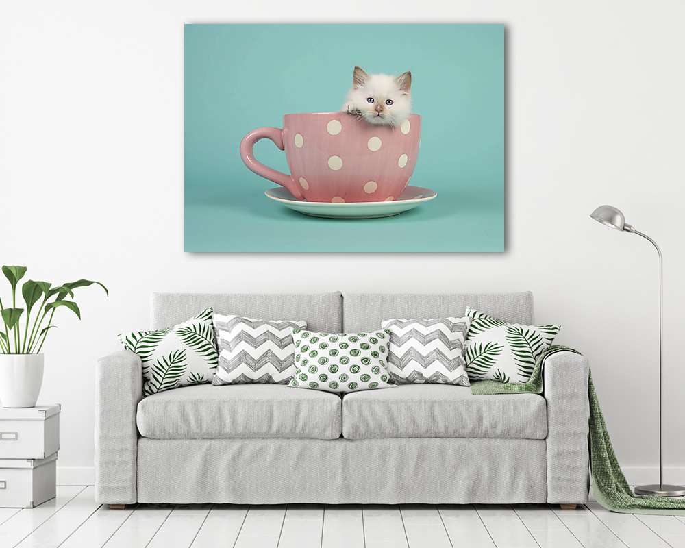 Aranyos 6 hetes rongybaba baba macska kék szemekkel lóg (fotótapéta) - vászonkép, falikép otthonra és irodába