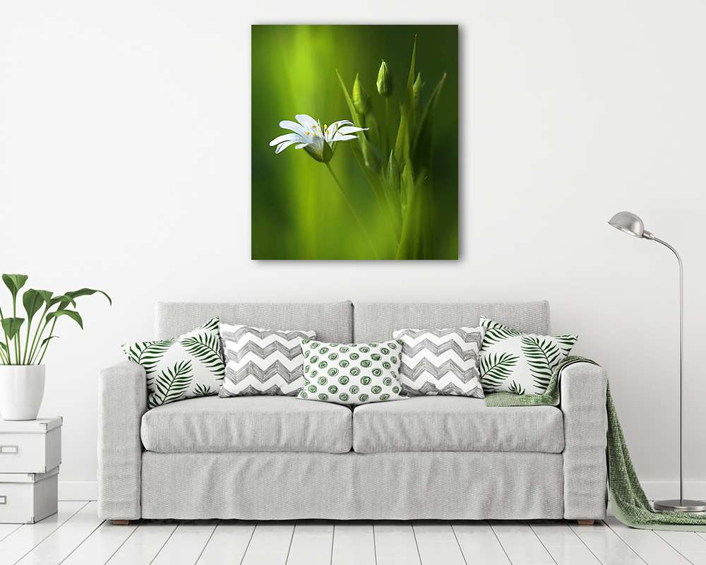 Meglepően szép puha, elegáns, fehér tavaszi kisvirág wi - vászonkép, falikép vásárlás Meglepően szép puha, elegáns, fehér tavaszi kisvirág wi (vászonkép) - vászonkép, falikép otthonra és irodába