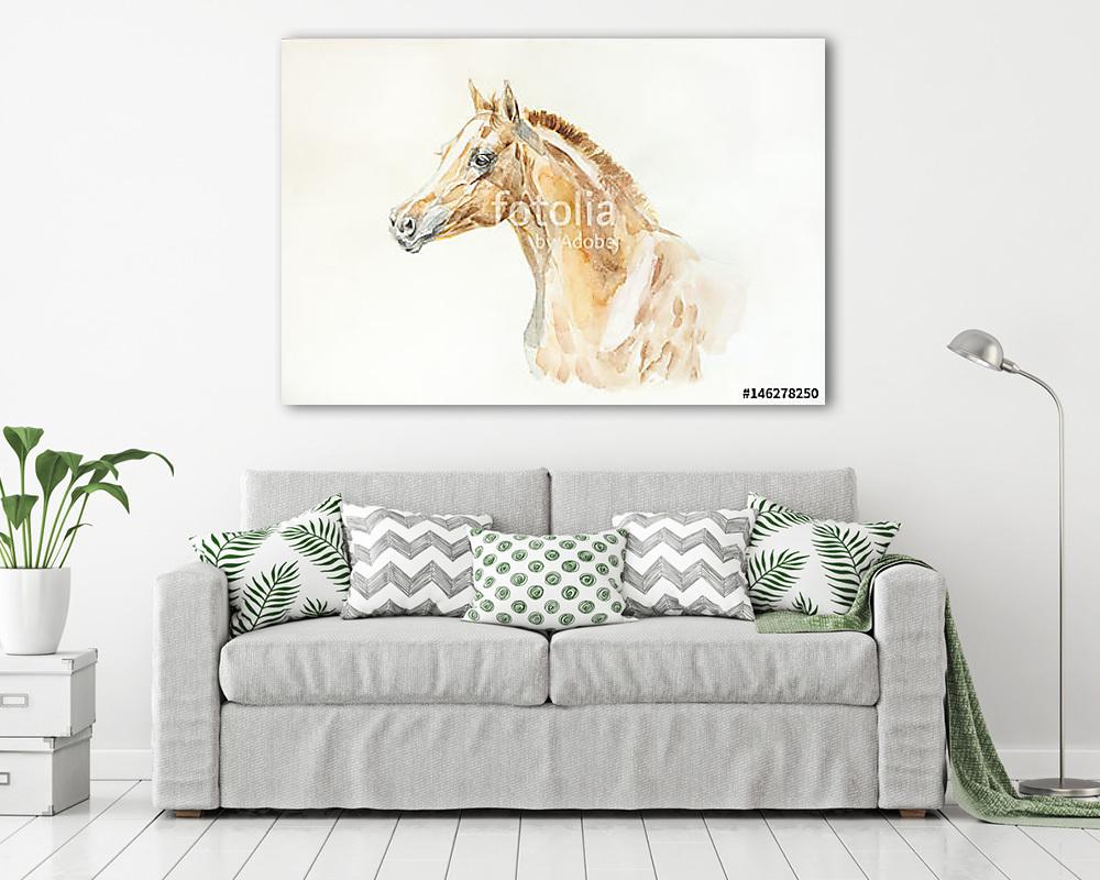 arab csikó vízfestmény - vászonkép, falikép vásárlás arab csikó vízfestmény (vászonkép) - vászonkép, falikép otthonra és irodába