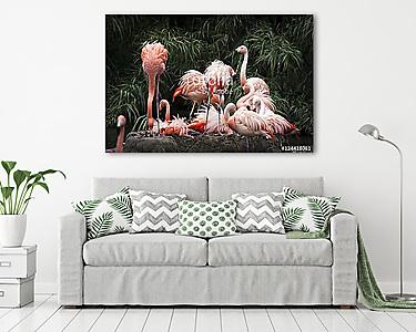 Nesting Flamingos Flock (vászonkép) - vászonkép, falikép otthonra és irodába