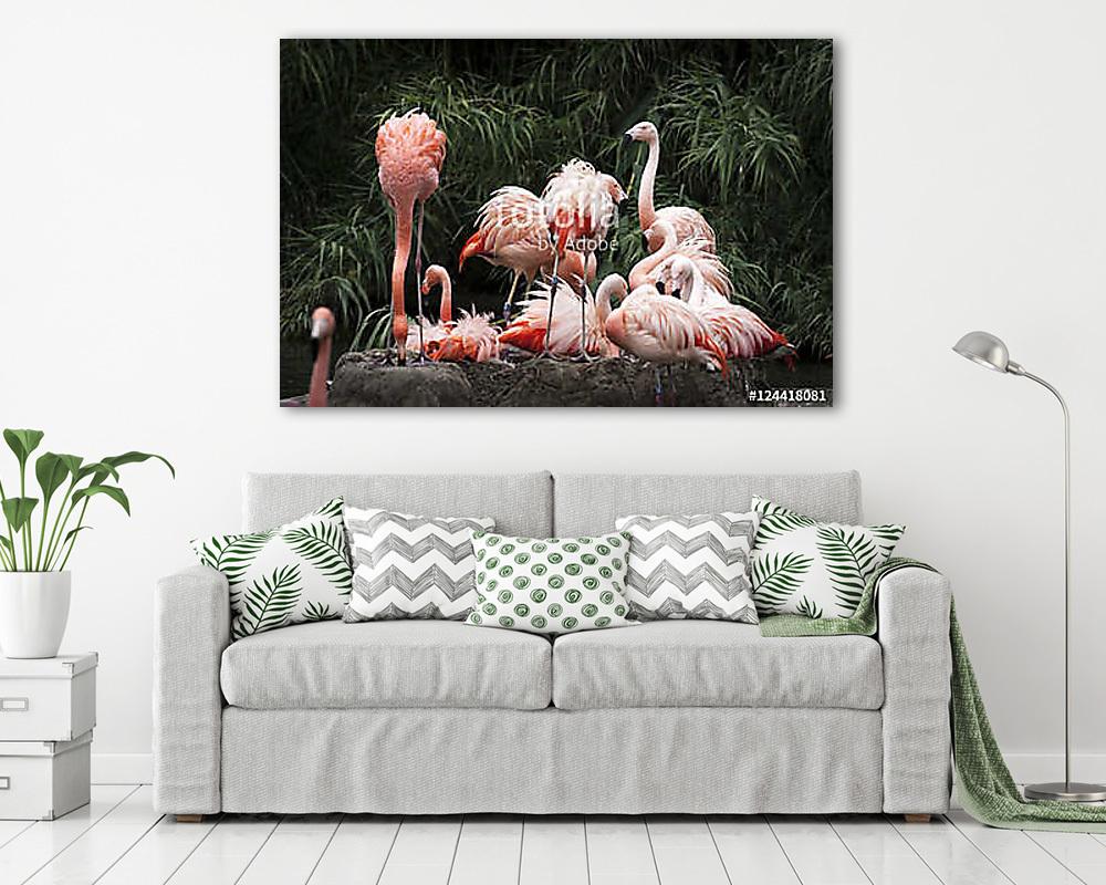 Nesting Flamingos Flock - vászonkép, falikép vásárlás Nesting Flamingos Flock (vászonkép) - vászonkép, falikép otthonra és irodába