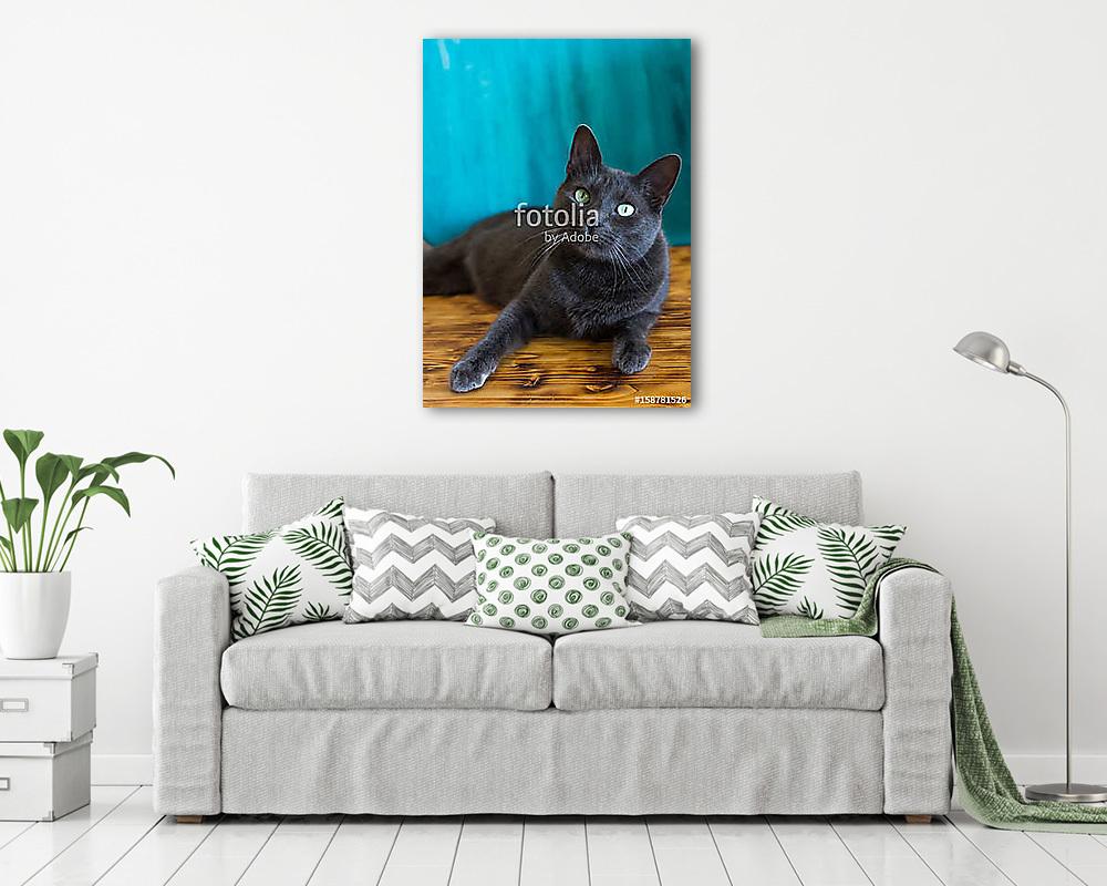 Orosz kék cica fülel - vászonkép, falikép vásárlás Orosz kék cica fülel (vászonkép) - vászonkép, falikép otthonra és irodába