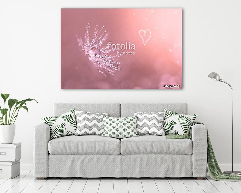 Dandelion closeup with water drops. Dandelion on a pink backgrou (fotótapéta) - vászonkép, falikép otthonra és irodába