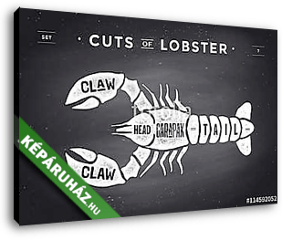 Cut of meat set. Poster Butcher diagram and scheme - Lobster. Vi - vászonkép 3D látványterv