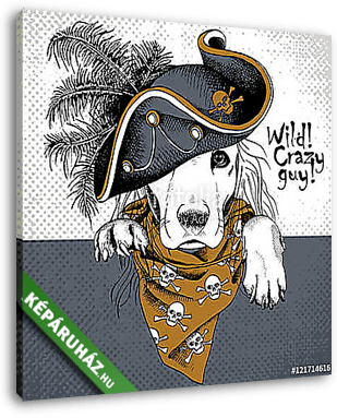 Poster with portrait of a dog wearing gray pirate hat and brown  - vászonkép 3D látványterv