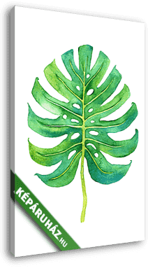 Tropical leaf illustration - vászonkép 3D látványterv