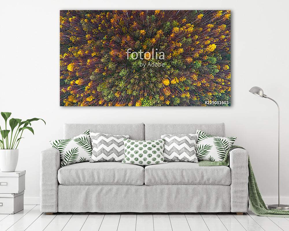 Aerial top view of autumn trees in wild park in september - vászonkép, falikép vásárlás Aerial top view of autumn trees in wild park in september (vászonkép) - vászonkép, falikép otthonra és irodába