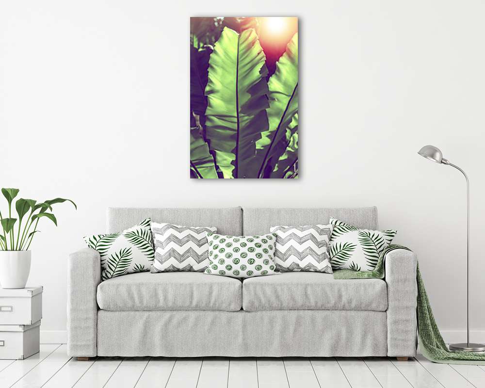 Banánfa levél - vászonkép, falikép vásárlás Banánfa levél (vászonkép) - vászonkép, falikép otthonra és irodába