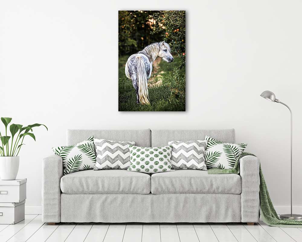 Póni a gyümölcsösben  (poszter) - vászonkép, falikép otthonra és irodába