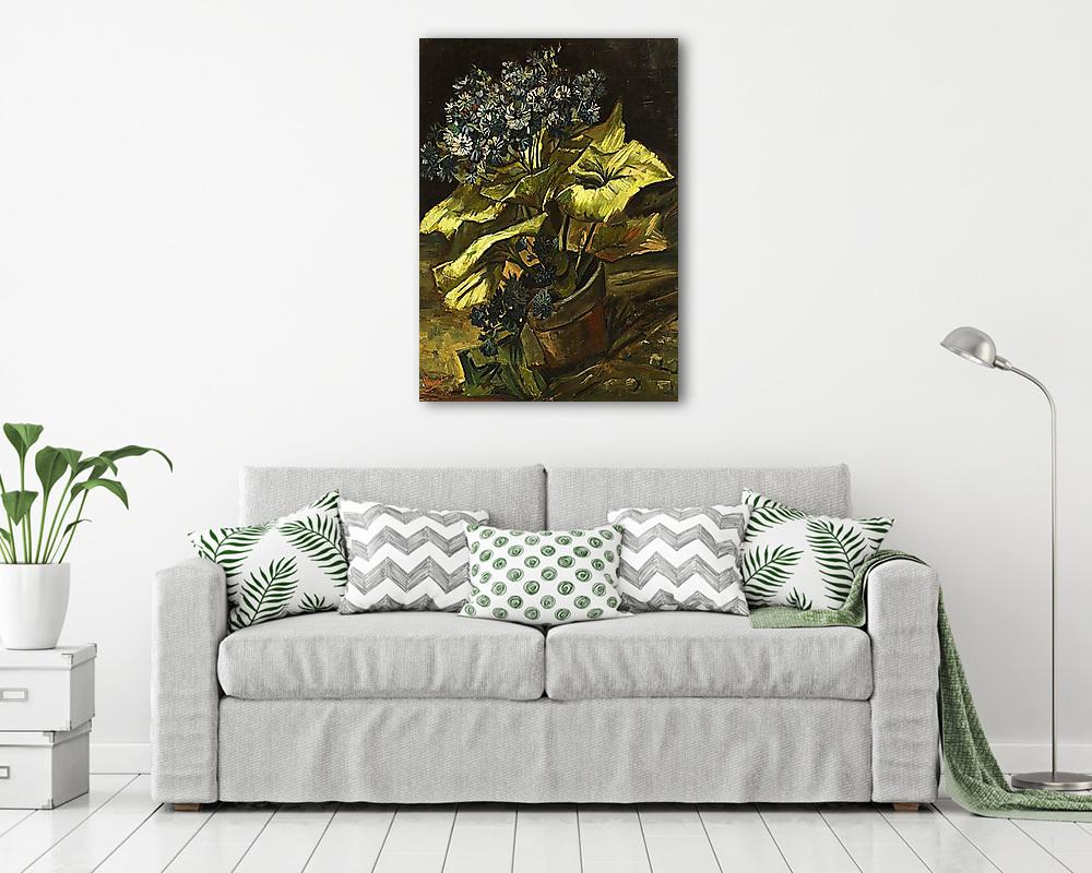 Cinerária - vászonkép, falikép vásárlás Cinerária (vászonkép) - vászonkép, falikép otthonra és irodába