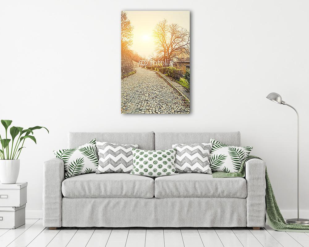 Régi utca napfényben, Buda vár közelében, Budapest Télen, Hu (vászonkép) - vászonkép, falikép otthonra és irodába