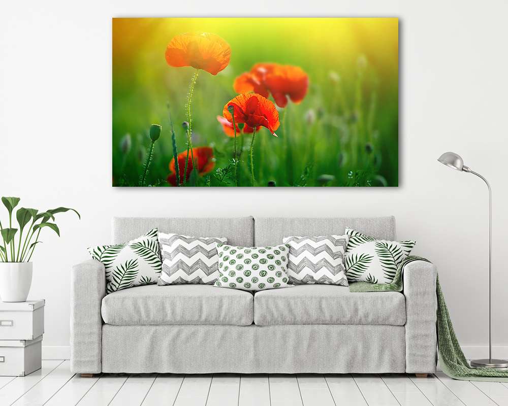 Csodálatos mákmező. Nyári virágok. (fotótapéta) - vászonkép, falikép otthonra és irodába