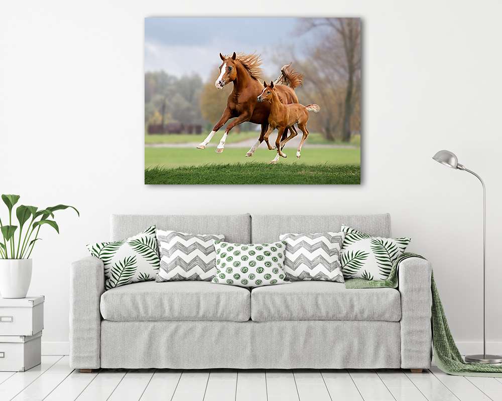 Arany arab ló nyári időszámításban galambzik viharos időben (keretezett kép) - vászonkép, falikép otthonra és irodába