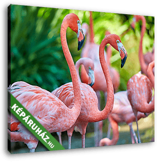 Rózsaszín flamingók - vászonkép 3D látványterv