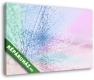 Many small droplets on the dandelion seed. Selective focus. - vászonkép 3D látványterv