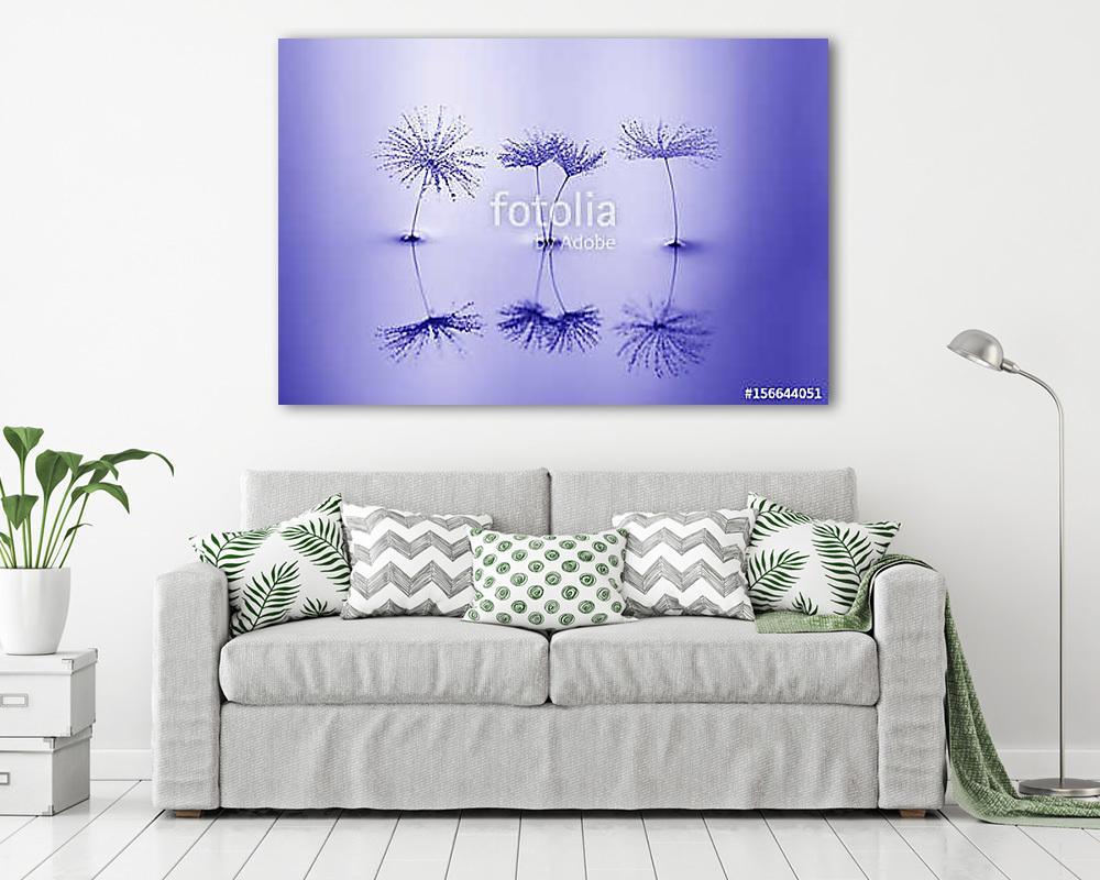 Seeds of dandelion in water with reflection. Macro with dandelio - vászonkép, falikép vásárlás Seeds of dandelion in water with reflection. Macro with dandelio (vászonkép) - vászonkép, falikép otthonra és irodába