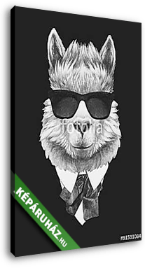 Portrait of Lama in suit. Hand drawn illustration. - vászonkép 3D látványterv