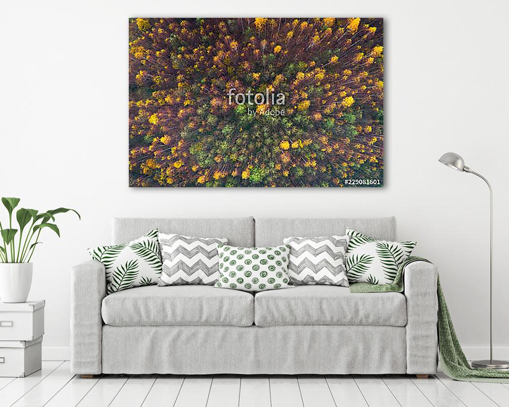 Aerial top view of autumn trees in wild park in september - vászonkép, falikép vásárlás Aerial top view of autumn trees in wild park in september (poszter) - vászonkép, falikép otthonra és irodába