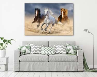 Három ló hosszú sörénnyel vágtat a homokban (vászonkép) - vászonkép, falikép otthonra és irodába