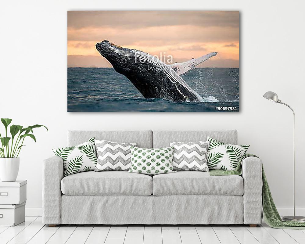 Felhúzó bálna a víz felett. Madagaszkár. naplementekor. (vászonkép) - vászonkép, falikép otthonra és irodába