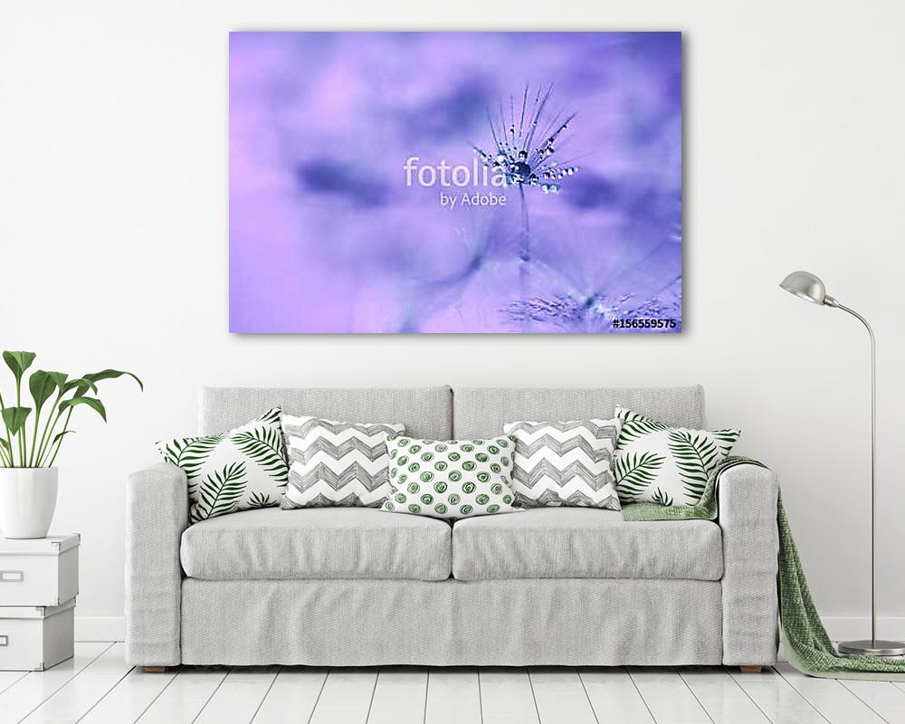 The seed of a dandelion with water drop,macro. (többrészes kép) - vászonkép, falikép otthonra és irodába