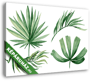 Watercolor illustration of leaves, isolated on white background - vászonkép 3D látványterv Watercolor illustration of leaves, isolated on white background - vászonkép 3D látványterv