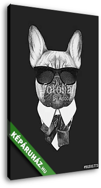 Portrait of French Bulldog in suit. Hand drawn illustration. - vászonkép 3D látványterv