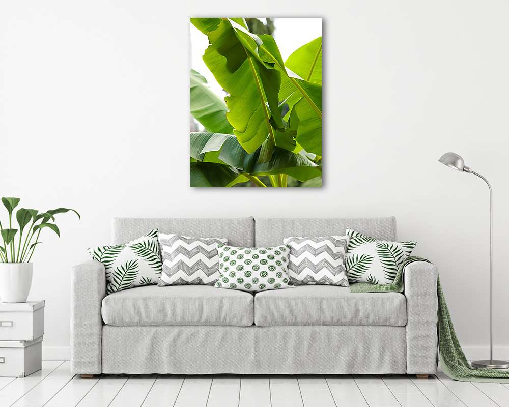 Banánfa levelek (vászonkép) - vászonkép, falikép otthonra és irodába
