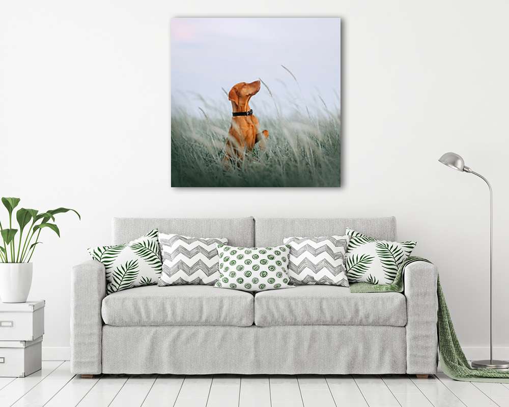 Vizsla a búzamezőn (fotótapéta) - vászonkép, falikép otthonra és irodába
