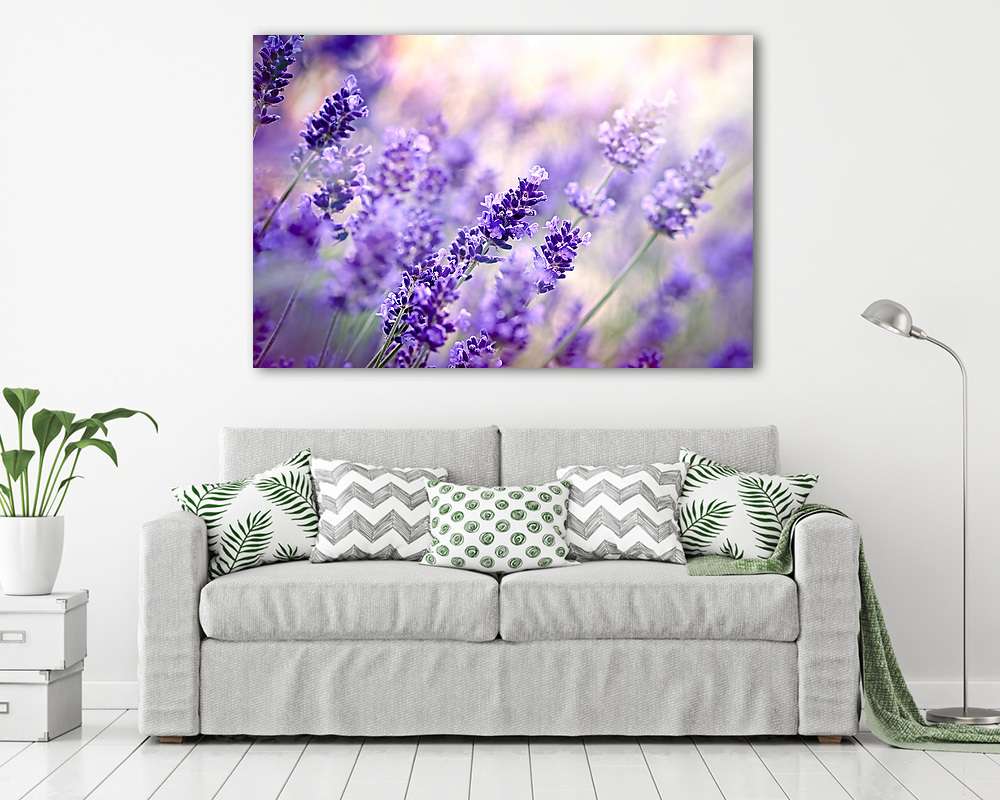 Lágy fókusz a levendulas virágra (poszter) - vászonkép, falikép otthonra és irodába