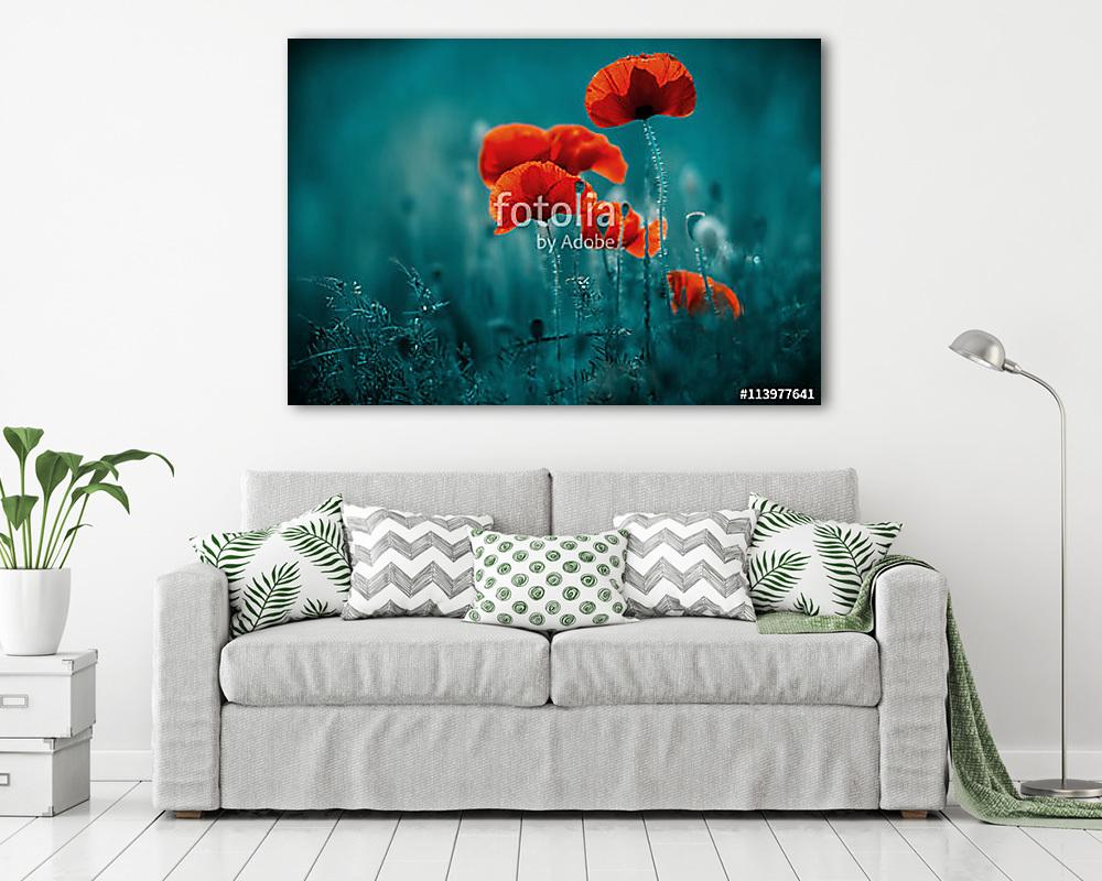 Csodálatos mákmező. Nyári virágok. (vászonkép) - vászonkép, falikép otthonra és irodába