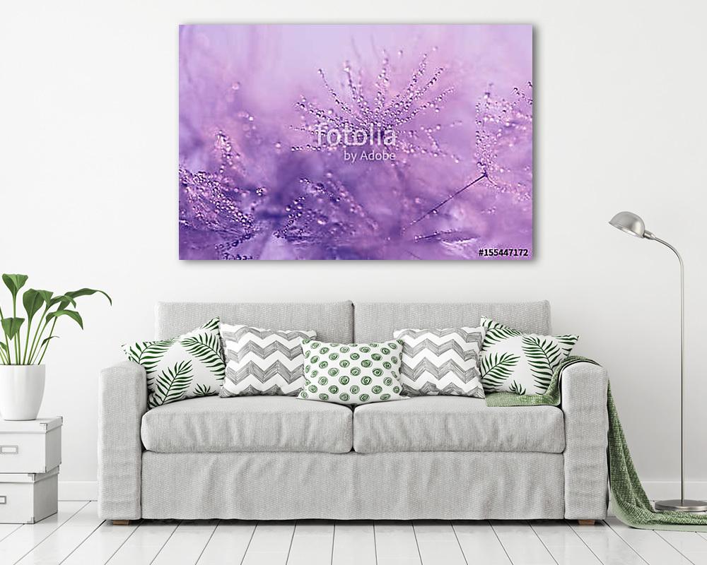 Dandelion macro with droplets of water. Gentle macro (fotótapéta) - vászonkép, falikép otthonra és irodába