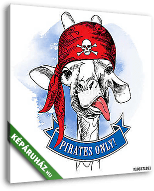 The portrait of a giraffe wearing a pirate's bandana with the im - vászonkép 3D látványterv