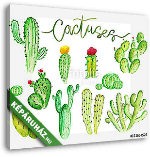 Watercolor cactus set - vászonkép 3D látványterv