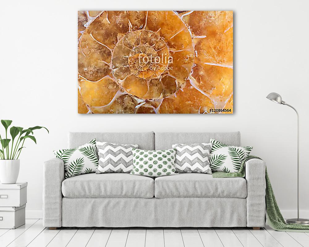 yellow ammonite spiral closeup - vászonkép, falikép vásárlás yellow ammonite spiral closeup (vászonkép) - vászonkép, falikép otthonra és irodába
