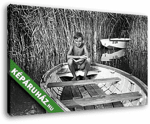Fiú a  csónakban (1961) - vászonkép 3D látványterv