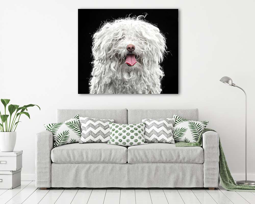 Fehér puli portré (bögre) - vászonkép, falikép otthonra és irodába