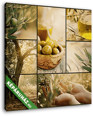 Olívaolaj kollázs - vászonkép 3D látványterv